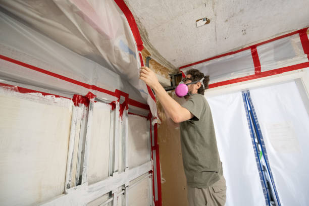 Reliable Kalkaska, MI Mold Removal Solutions
