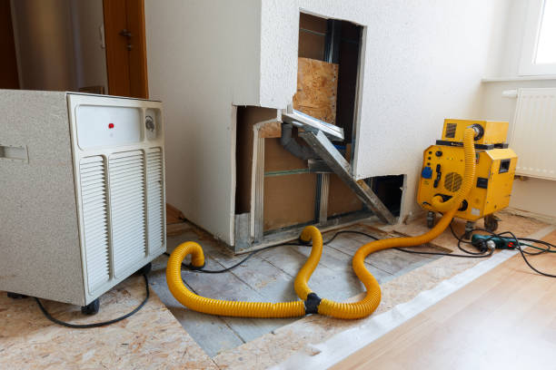 Best Real Estate Mold Inspection  in Kalkaska, MI