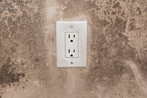 Best Dehumidification Services  in Kalkaska, MI
