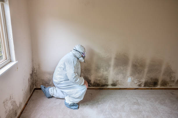 Mold Exposure & Symptoms