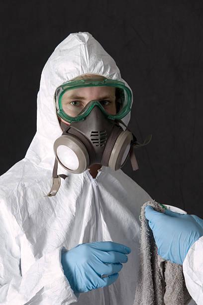 Biohazard Mold Removal in Kalkaska, MI